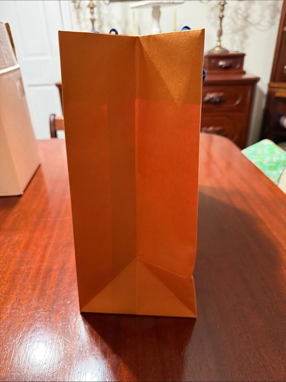 Louis Vuitton Paper Shopping Bag